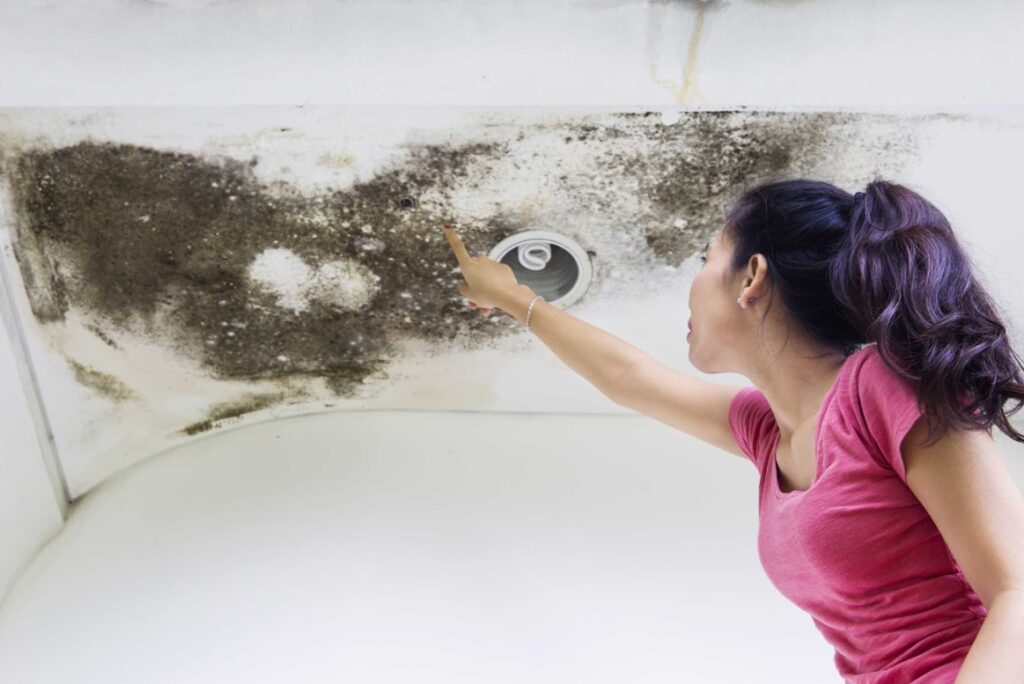 how do you detect a roof leak in Alexandria
