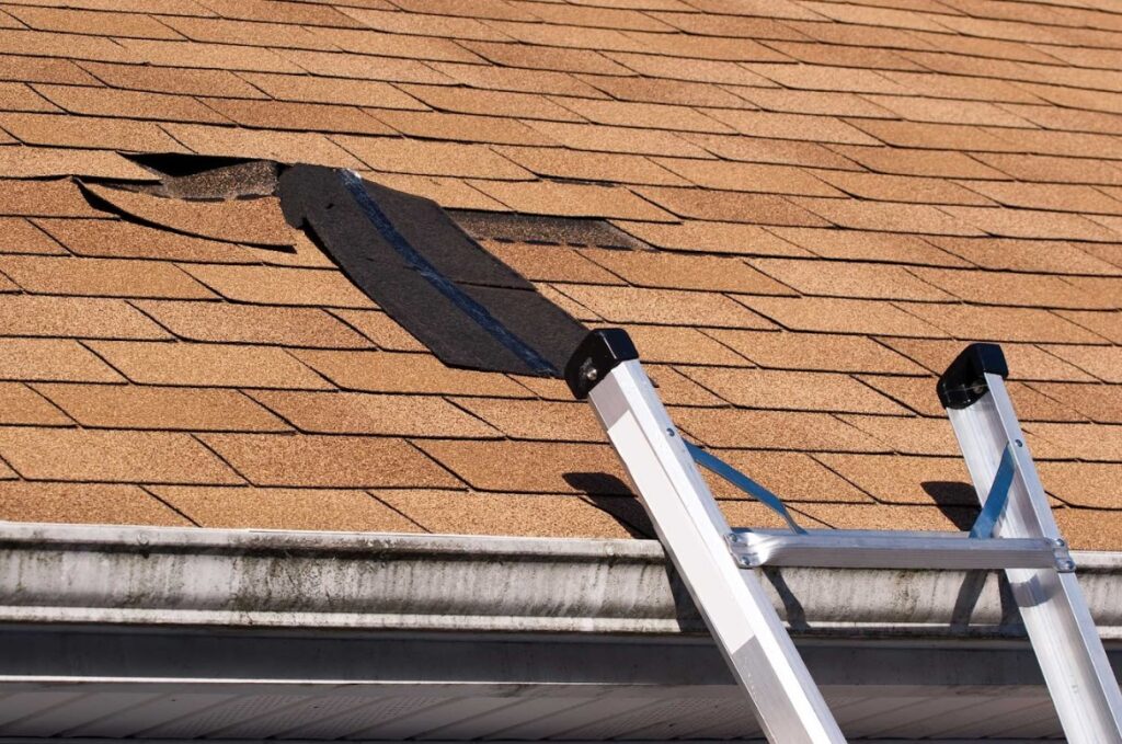 how to assess wind damage on roof in Alexandria