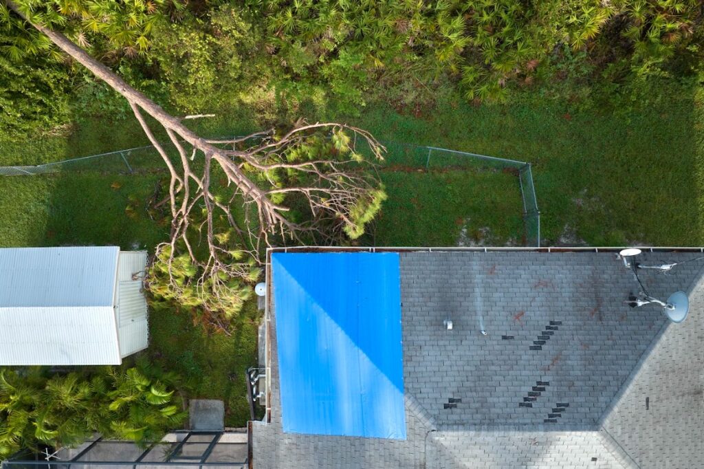 tree falls on roof