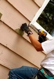 trusted window replacement expert in Alexandria