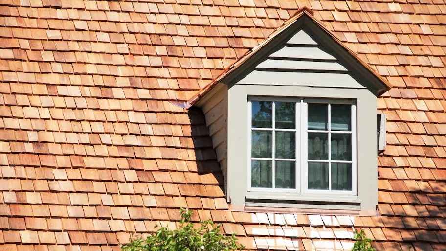 trusted cedar roofing expert in Alexandria VA