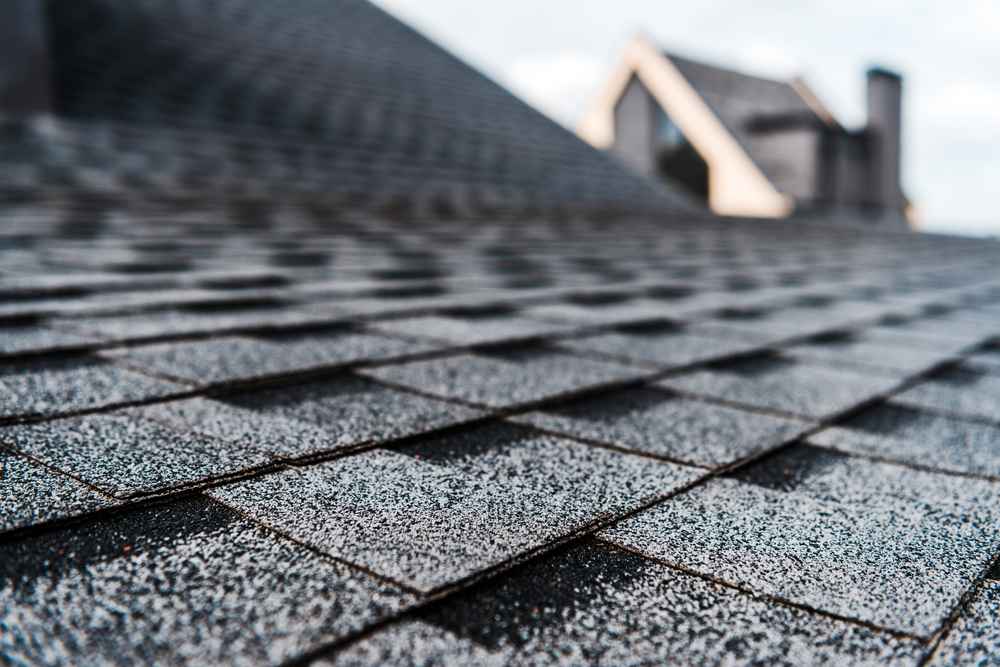 Trusted Asphalt Shingle Roofing Expert