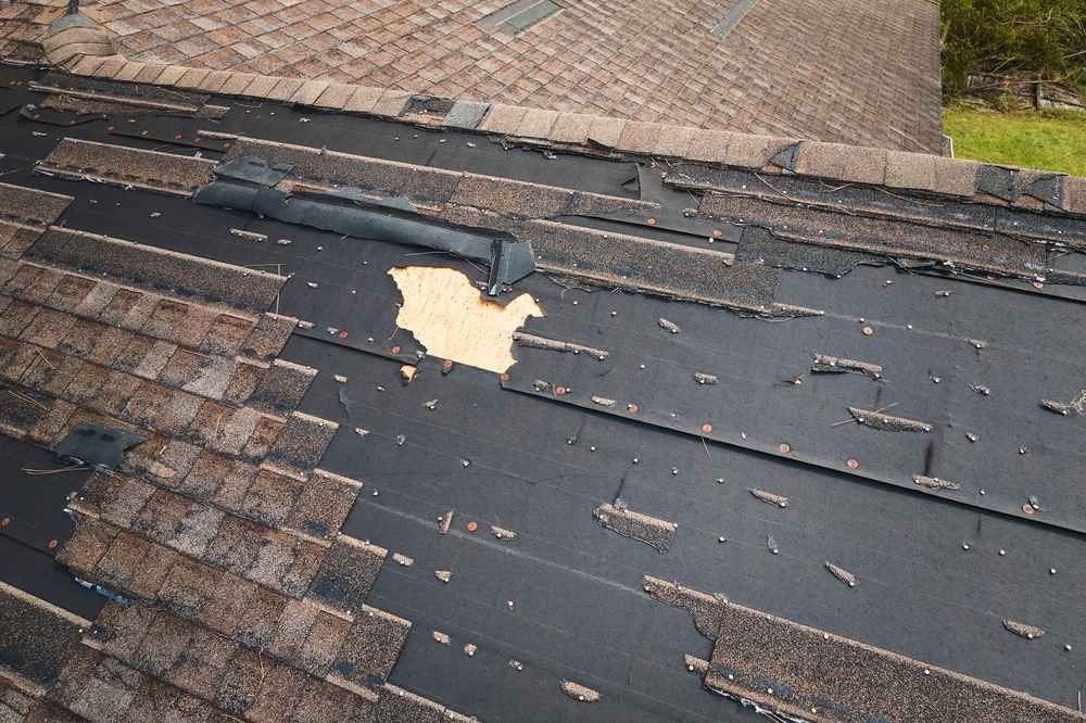Trusted Roof Leak Expert
